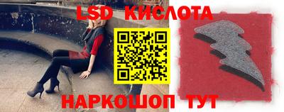 прущие грибы Донецк