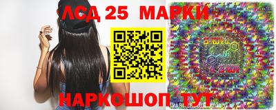спиды Донской