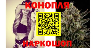прущие грибы Донецк