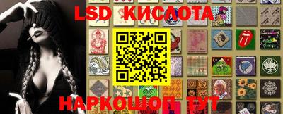 спиды Донской